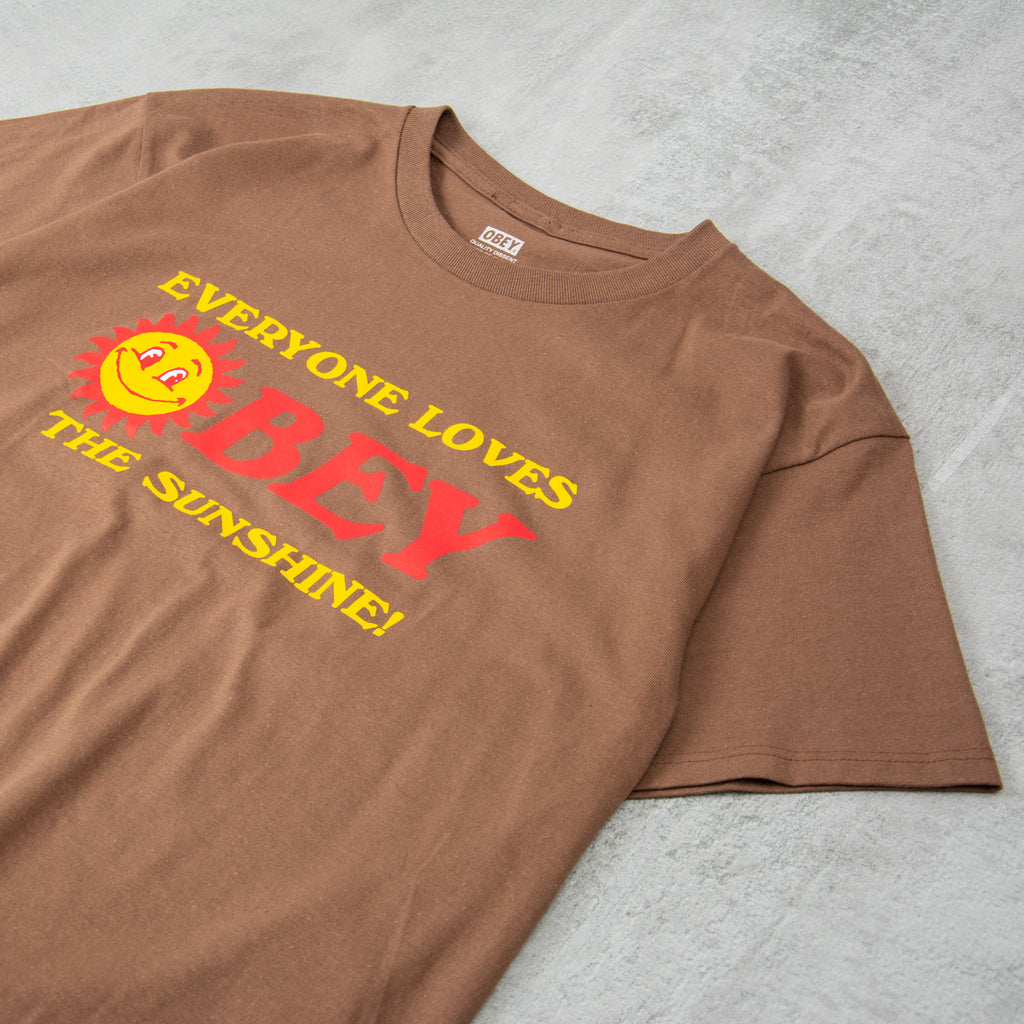 Obey Everyone Loves the Sunshine Tee - Silt 2