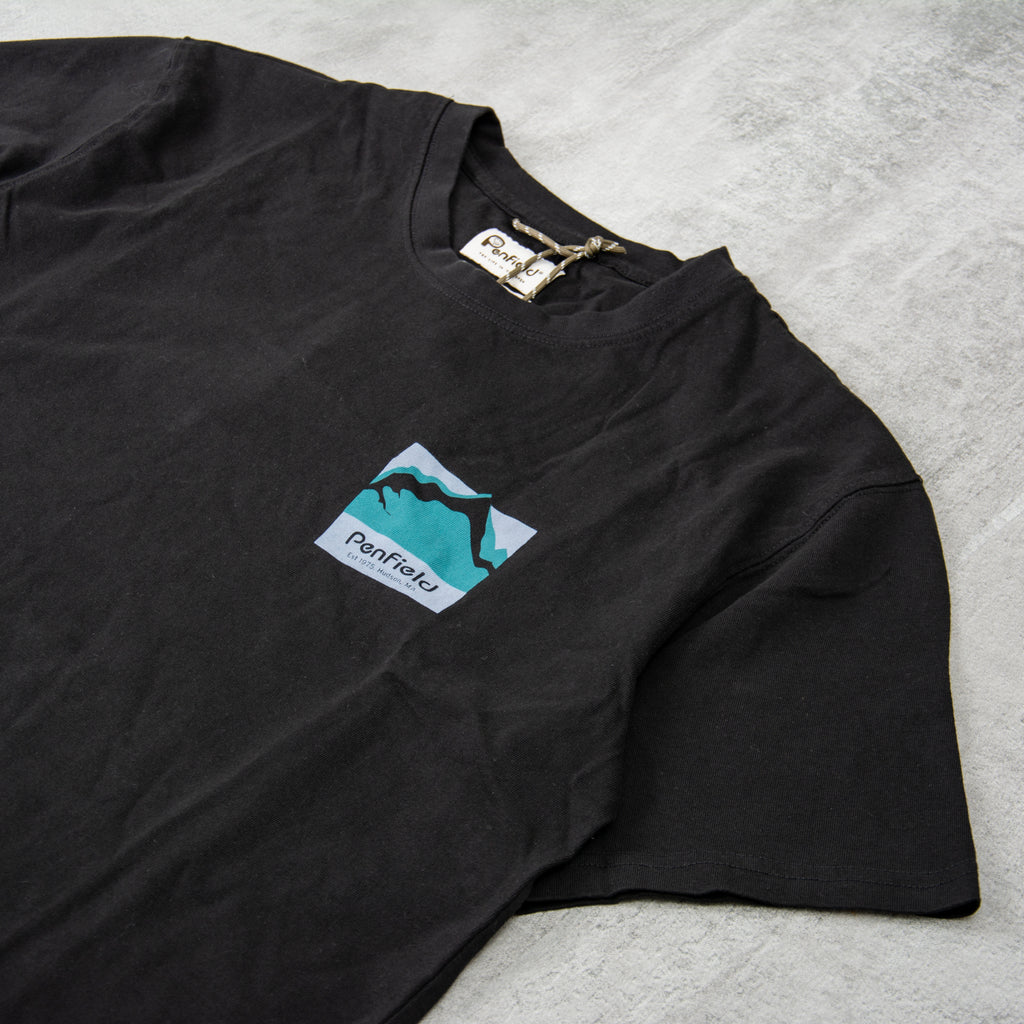 Penfield Mountain Scene Back Graphic Tee - Black 3