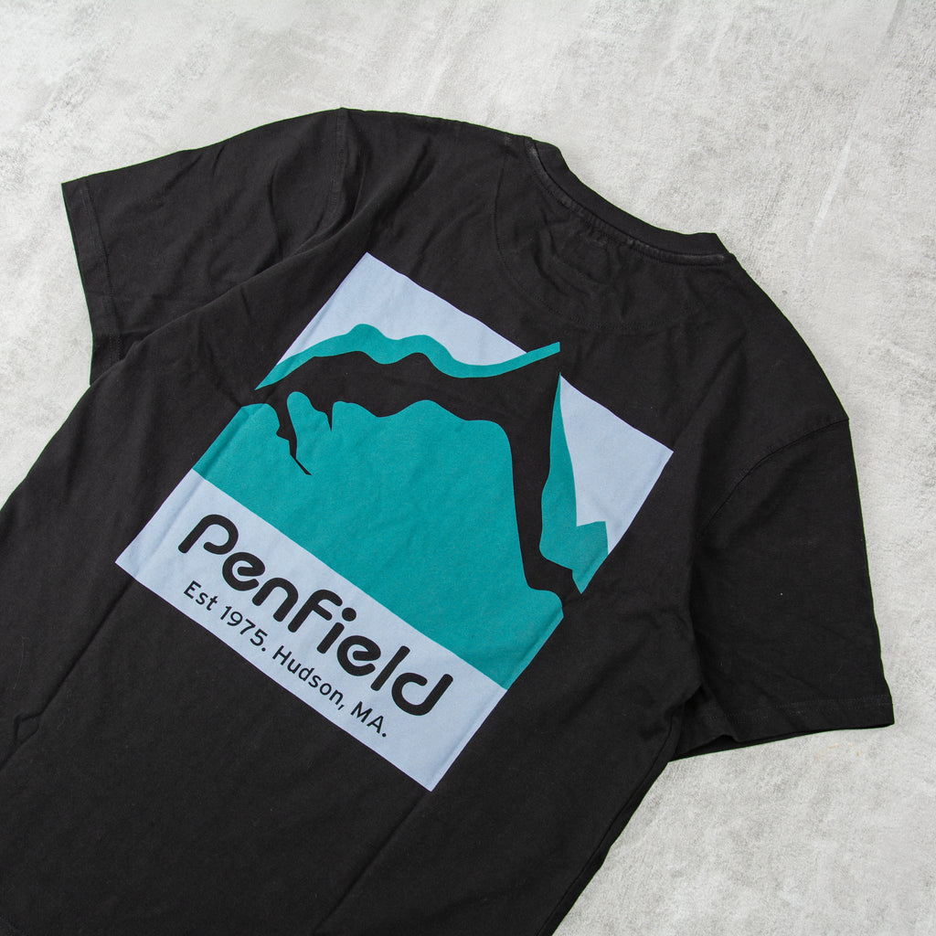 Penfield Mountain Scene Back Graphic Tee - Black 2