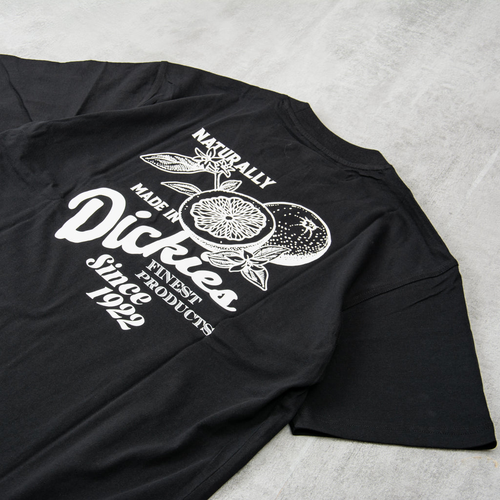 Dickies Raven Tee - Black 2